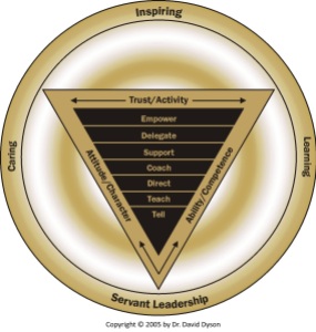 Dyson Empowerment Model Gold